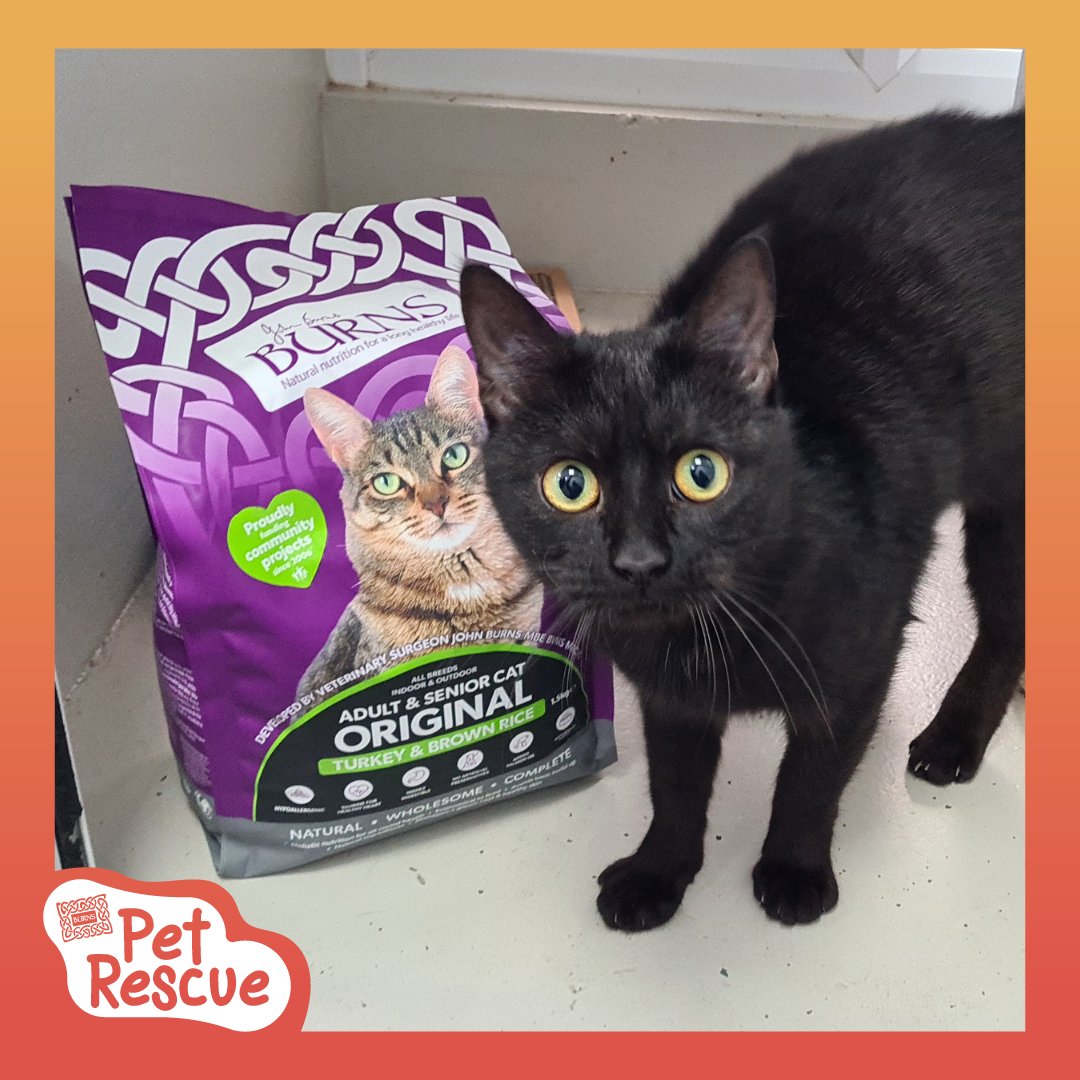 RSPCA Derby (@rspcaderby) on Twitter photo Sabrina would like to say a big thank you to <a href="/burnspetfood/">Burns Pet Nutrition</a> for providing us with delicious dry food for our cats and dogs πΎπ
#BurnsPetNutrition #BurnsPetFood #PoweredByBurns #BackedByBurns Sabrina would like to say a big thank you to <a href="/burnspetfood/">Burns Pet Nutrition</a> for providing us with delicious dry food for our cats and dogs πΎπ
#BurnsPetNutrition #BurnsPetFood #PoweredByBurns #BackedByBurns