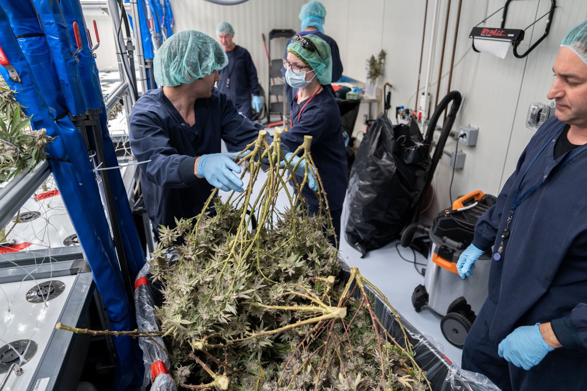 J.R. Strain tweet media