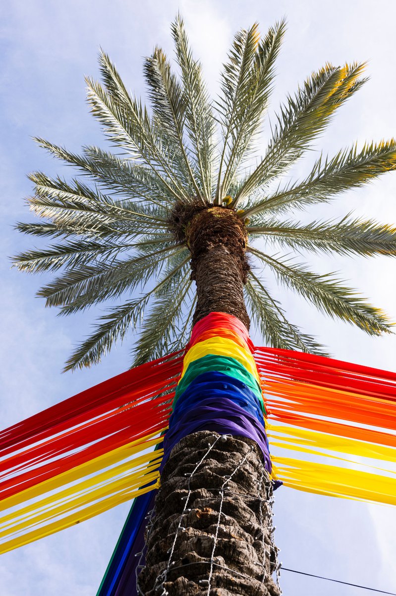 Celebrate Miami Beach Pride with the unveiling of PRIDE247 #OnLincoln! 🌈🌴 Join us tonight for the debut of our road's latest vibrant art installation, just before the Pride Lights The Night event. 🏳️‍🌈💚 7:15 PM - PRIDE247 Unveiling 7:30 PM - Pride Lights The Night event