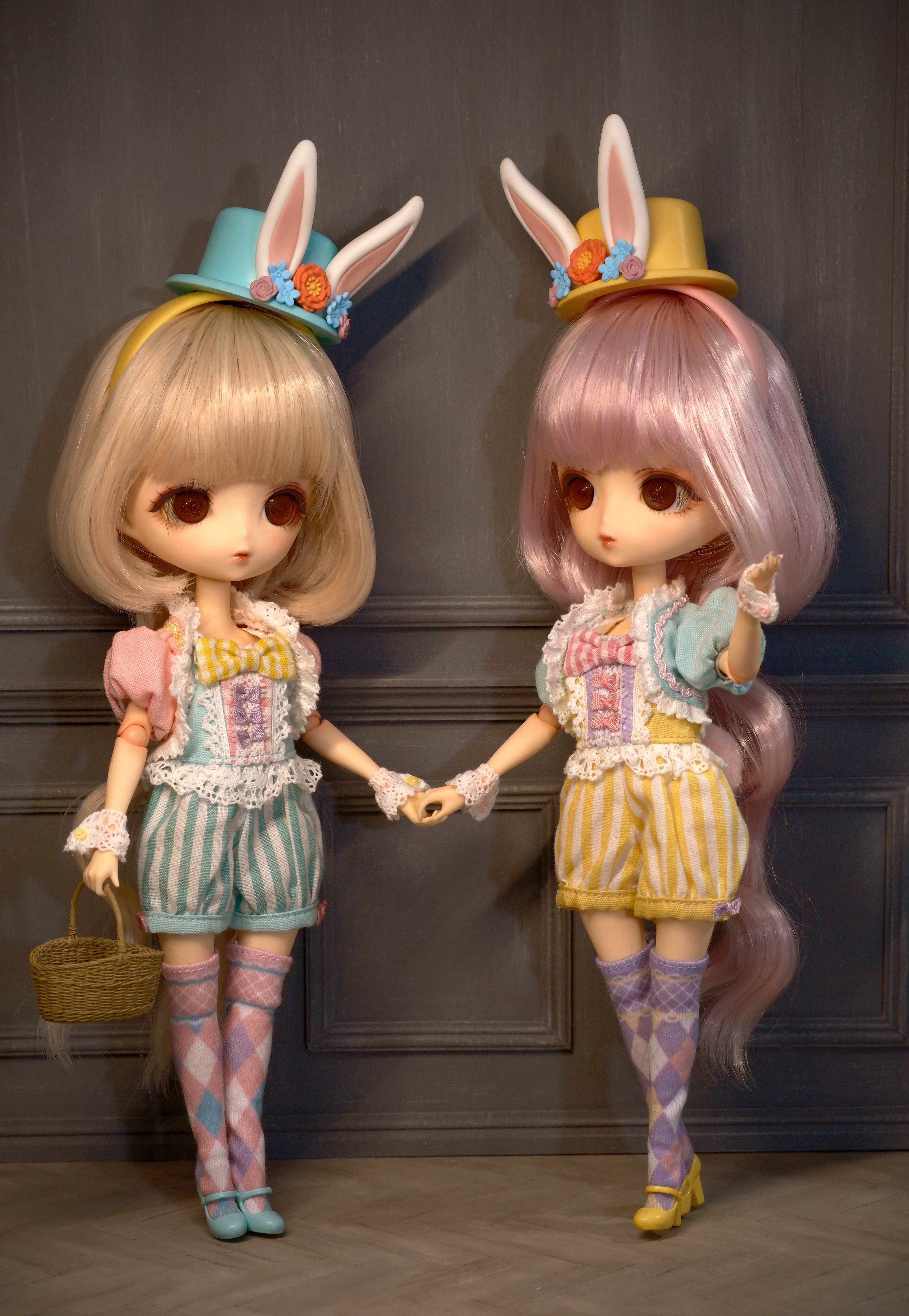 ハルモニアブルーム Harmonia bloom Charlotte