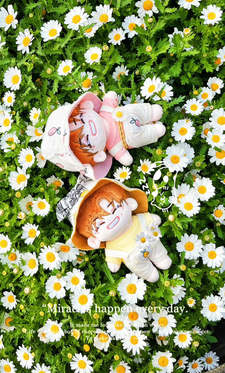 AT_Christine255's tweet photo. My lovely twins today. 
I don’t want to look at you and remember bad memories, so I will let it go. 
Silent doesn't mean I’am a loser, it means I don’t want to waste my time with unworthy people.
Ya~ spring is coming 🥰
Thank you @bosomteuk https://t.co/ZwRKNkq6qC