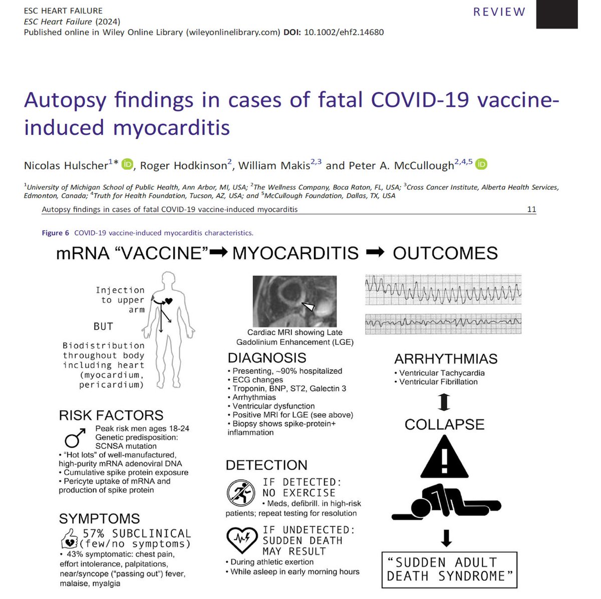 The mechanism of sudden unexplained death in vaccinated patients has been published Hulscher N, Hodkinson R, Makis W, McCullough PA. Autopsy findings in cases...ESC Heart Fail. 2024 Jan 14. doi: 10.1002/ehf2.14680. Epub ahead of print. PMID: 38221509.