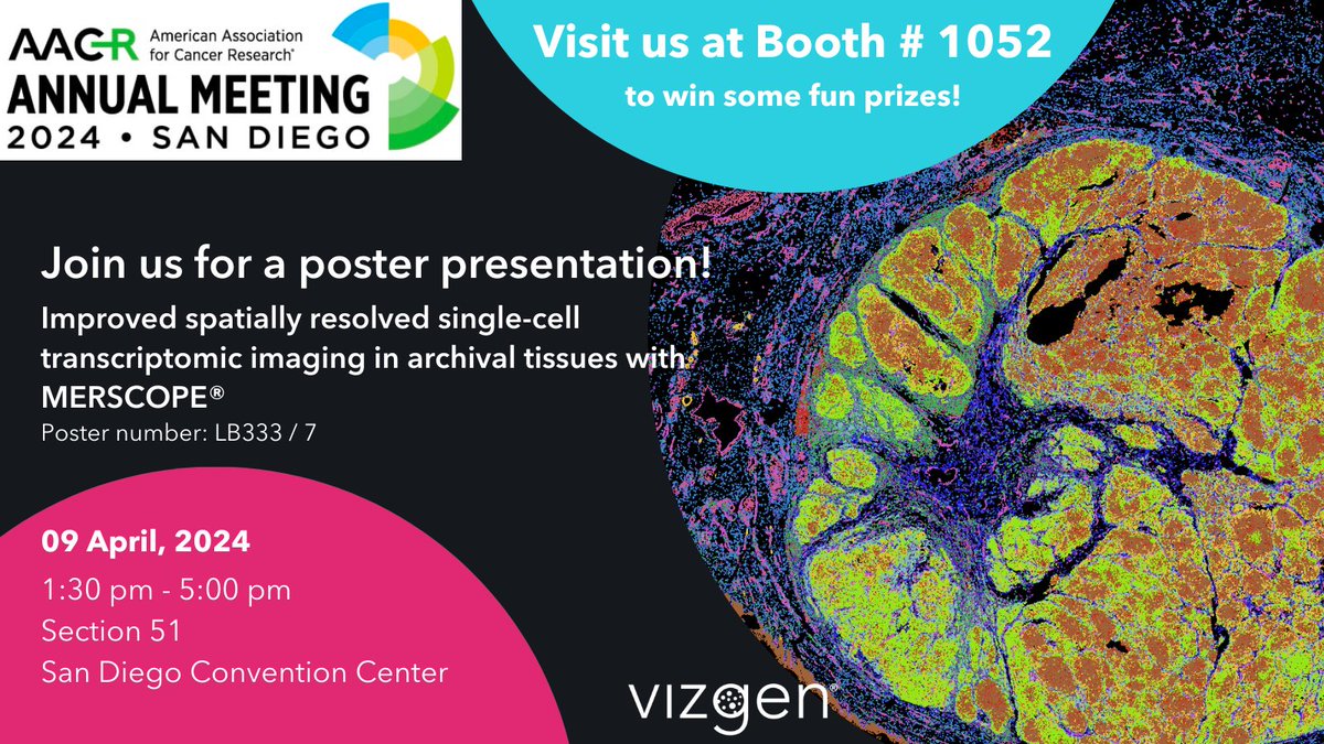 Make your way to @vizgen_inc's booth #1052 at AACR! Discover our exciting new 1,000-plex gene panels! Catch our poster session for a glimpse into our advanced chemistry for archival samples. Plus, we've got thrilling news on the horizon. Stay tuned! #MERSCOPE #AACR2024