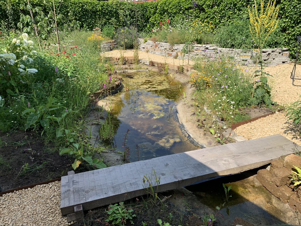 weerexperts's tweet photo. "Een weerman met iedere dag een brede glimlach". Hoezo lukt dat dan? En welke rol heeft de natuur hierin?  @EdwardDoorten spreekt uit ervaring 😊 . Lees mijn blog:

https://t.co/kBcpk9DaAk https://t.co/wKLAFQZzbl