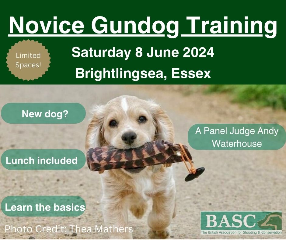 Got a new pup? Come along to a training session with A-panel Judge Andy Waterhouse of Roman River Gundogs at his excellent facility in Brightlingsea, Essex. The ground includes open grassland, various cover, a pond, and marshland Find out more orlo.uk/fWK89