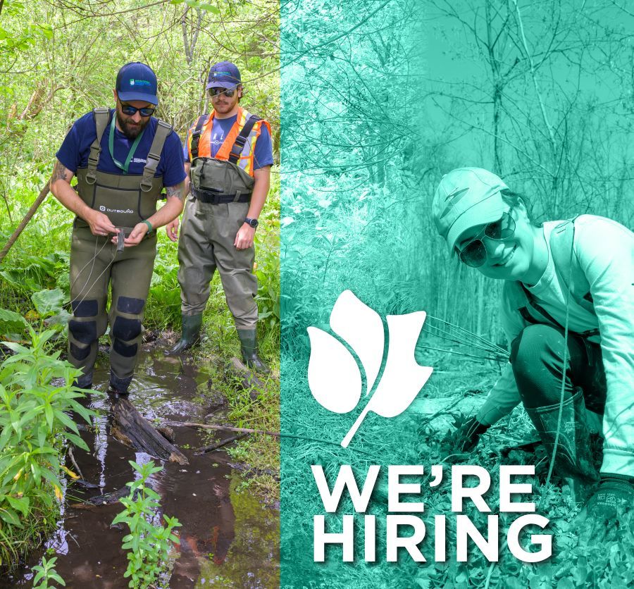 We're hiring a Watershed Planner!🌍🌳 As a key member of the team, you'll contribute to our vision of a watershed with robust nature, thriving agriculture & resilient urban areas. Don't miss the chance to advance your career with NPCA! Apply by Friday at buff.ly/3J9VkU4