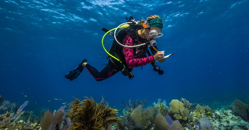 EMBRC_EU's tweet photo. #EMBRCBlog I 👉 EMBRC has updated its Standard Operating Procedures (SOPs) for observatories sampling to help create the science we need for the ocean we want
🔵 Water column
🔵 Soft substrates
🔵 & hard substrates
Find out more 👇
#OceanDecade24@UNOceanDecade
@OBON_Ocean