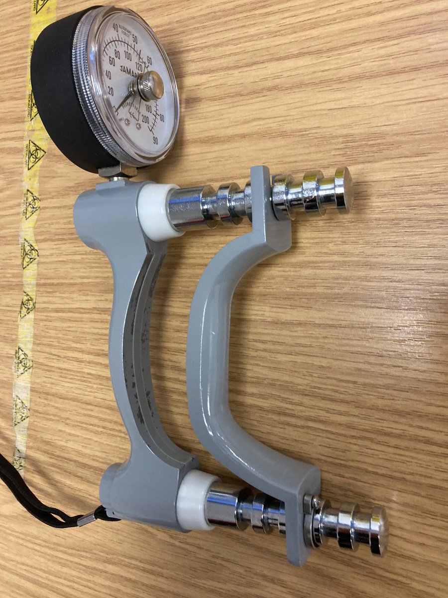 Dr Natalie E Grinvalds tweet media