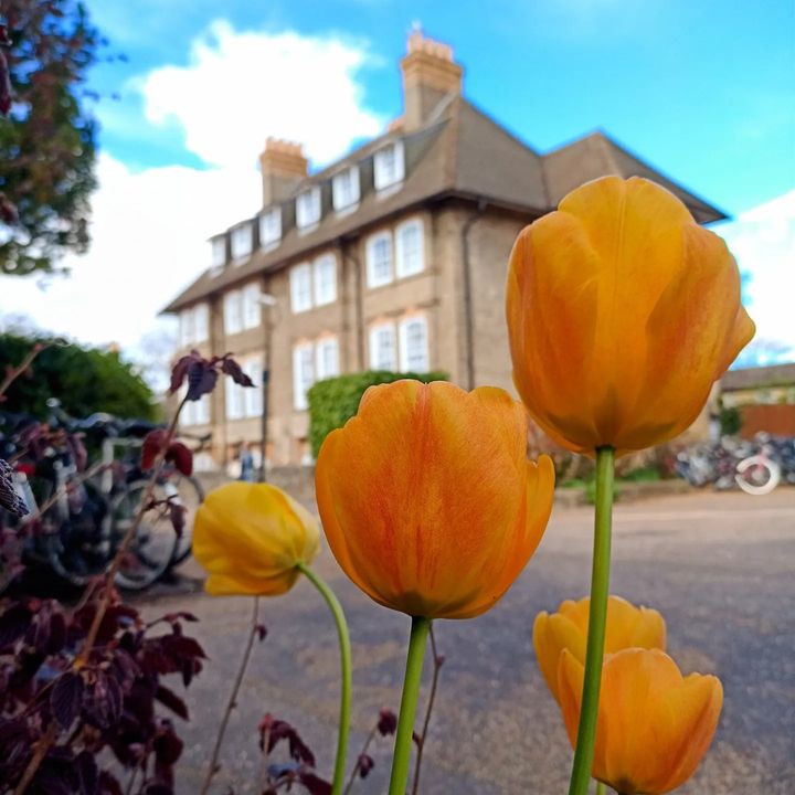 There's nothing like Cambridge in full bloom! 🌷🌸 @cambridge_uni