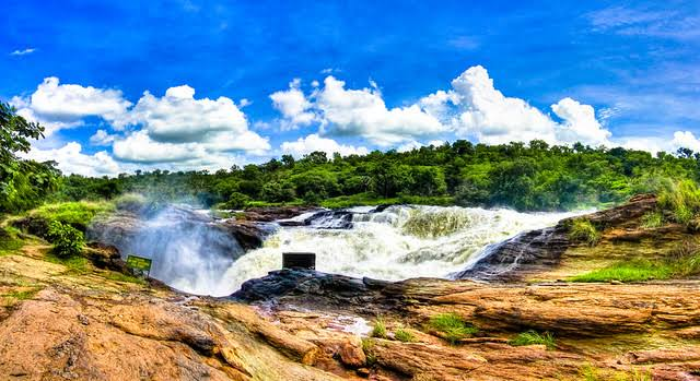 Any  Uganda Safari is bores without a trip to Murchison Falls National Park. Visit the park for your pleasure murchisonfallsnationalparkuganda.com #murchisonfallsnationalpark #ugandamurchisonfallsnationalpark #murchisonfallsnationalparkuganda #murchisonfallsinuganda #murchisonfalls