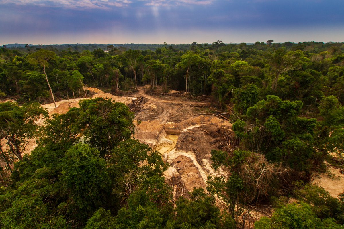 New @WorldResources study shows we are not on track to stop & reverse global deforestation. I’ll continue meeting world leaders in the next months, focusing on the implementation of our 🇪🇺 Deforestation legislation, taking responsibility for our part. research.wri.org/gfr/latest-ana…