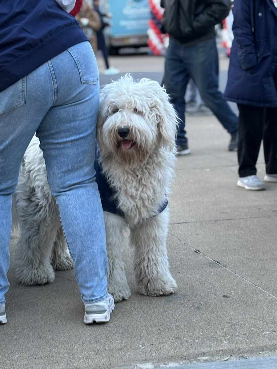 TMNwithVineeta's tweet photo. Saying hi to all the people and their pups who are fans of the @Twins at Target Field!

We are here for Breakfast On  The Plaza until 9 am! https://t.co/RpmvNXRVNo