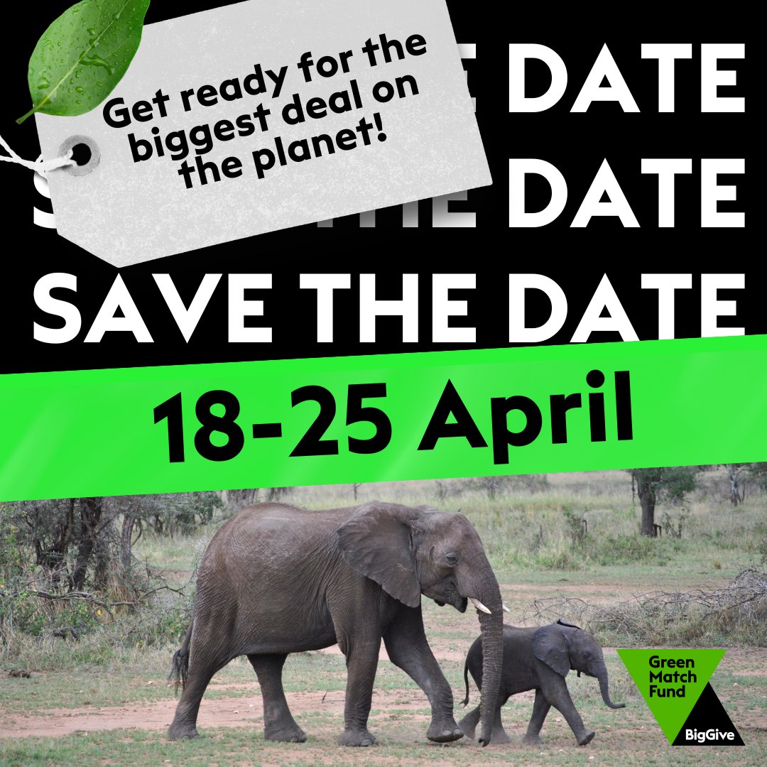 This year, we're going BIG for green charities. There are just over 2 weeks to go until #GreenMatchFund, and for one week of wild savings, we'll be doubling donations to hundreds of green charities. #SaveTheDate and get ready for the best deal yet! bit.ly/GMF24Social #2for1