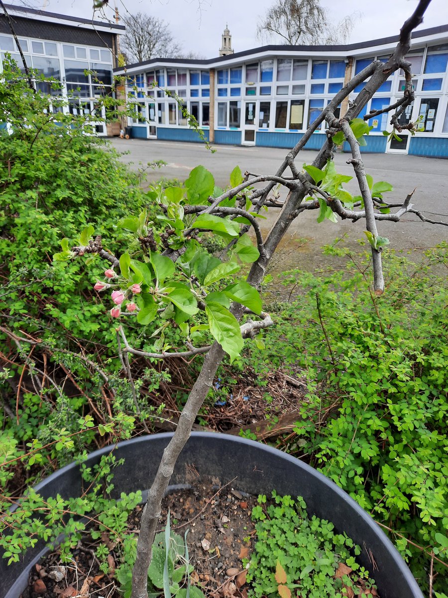 Pascale Vassie 🧡💙 tweet media