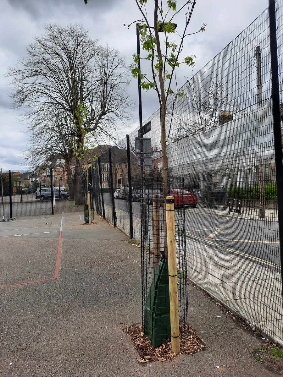 Pascale Vassie 🧡💙 tweet media