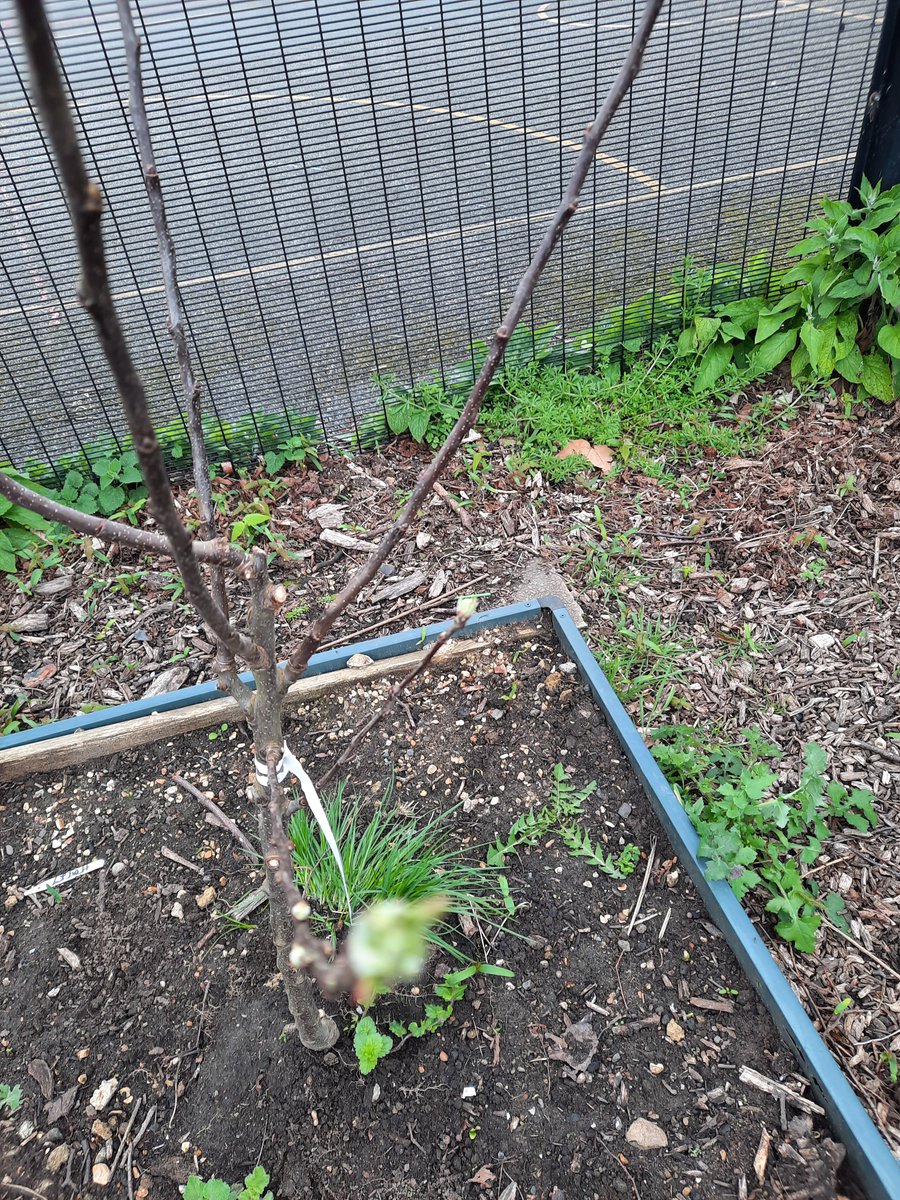 Pascale Vassie 🧡💙 tweet media