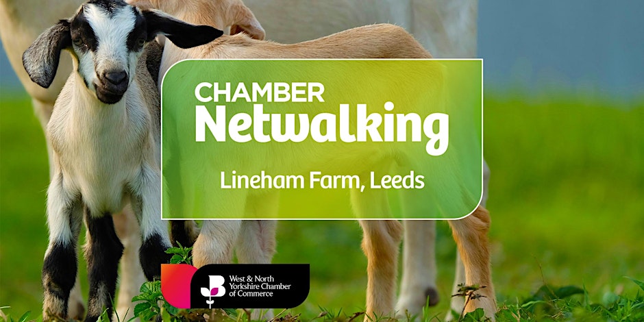 Netwalking at Lineham Farm, Leeds 🐐🐴(@LeedsChildrensC) 🗓️ Thu 30 May 2024, 10:00-12:00 GMT 📌 Swan Lane, Eccup, LS16 8AZ Build your business connections amid 120 acres of outstanding natural beauty. Book your place on this event here: eventbrite.co.uk/e/netwalking-i…