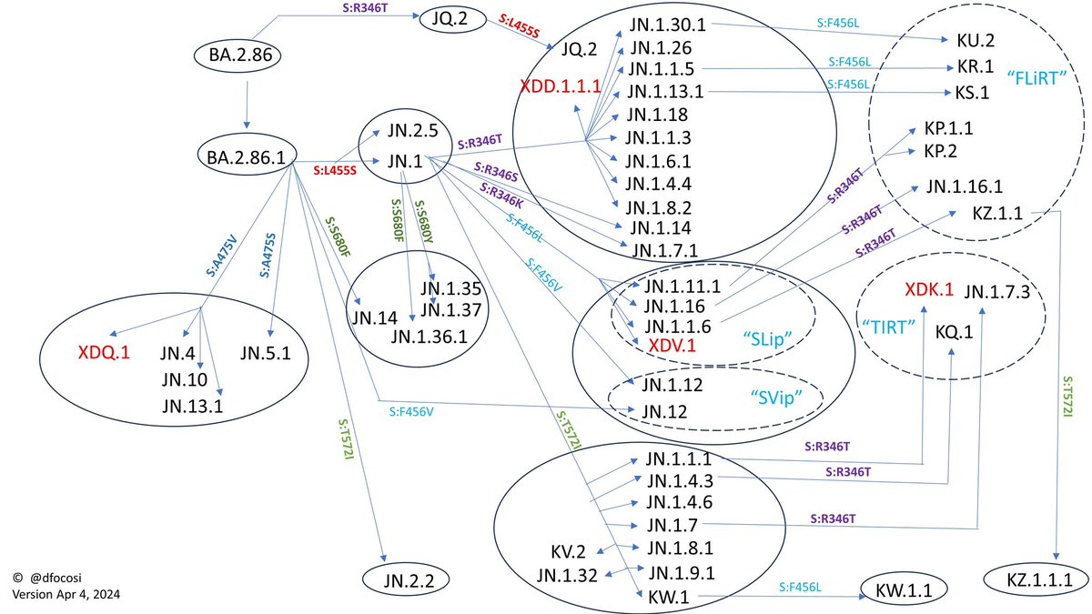 APR 4 UPDATE: convergent evolution of JN.* Spike hits “level 4” (346+455+456+572I) with KW.1.1 and KZ.1.1.1 @yunlong_cao @RajlabN @SystemsVirology @BenjMurrell @SimonLoriereLab @EricTopol @TRyanGregory @LongDesertTrain @SolidEvidence @CorneliusRoemer @siamosolocani @BenjMurrell