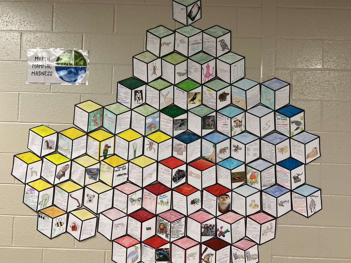 Tasha Young, Ed.D. tweet media