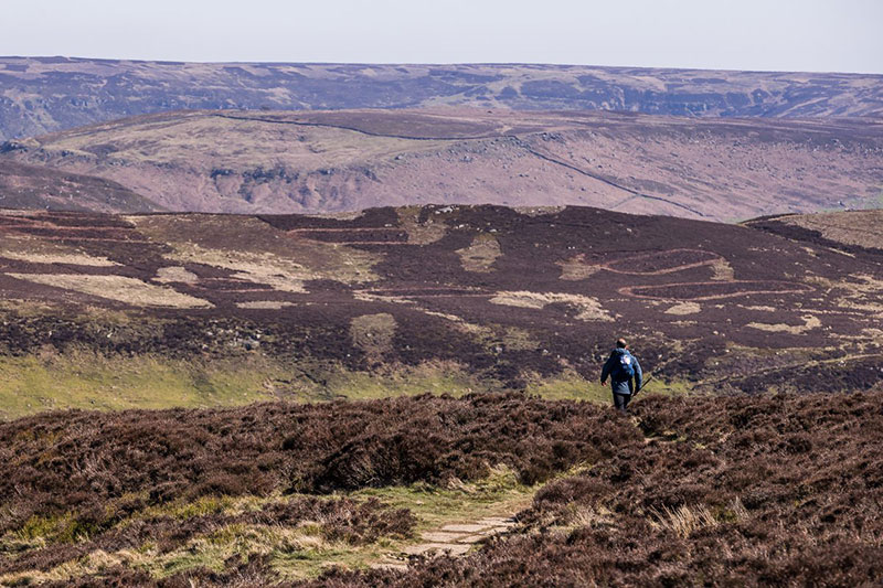 MyOutdoors tweet media