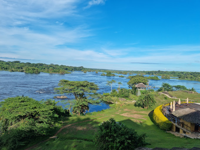 Murchison falls National Park doubles as the largest and oldest National Park in Uganda. Details are in the link murchisonfallsnationalparkuganda.com
#murchisonfallsnationalpark #ugandamurchisonfallsnationalpark #murchisonfallsnationalparkuganda #murchisonfallsinuganda #murchisonfalls