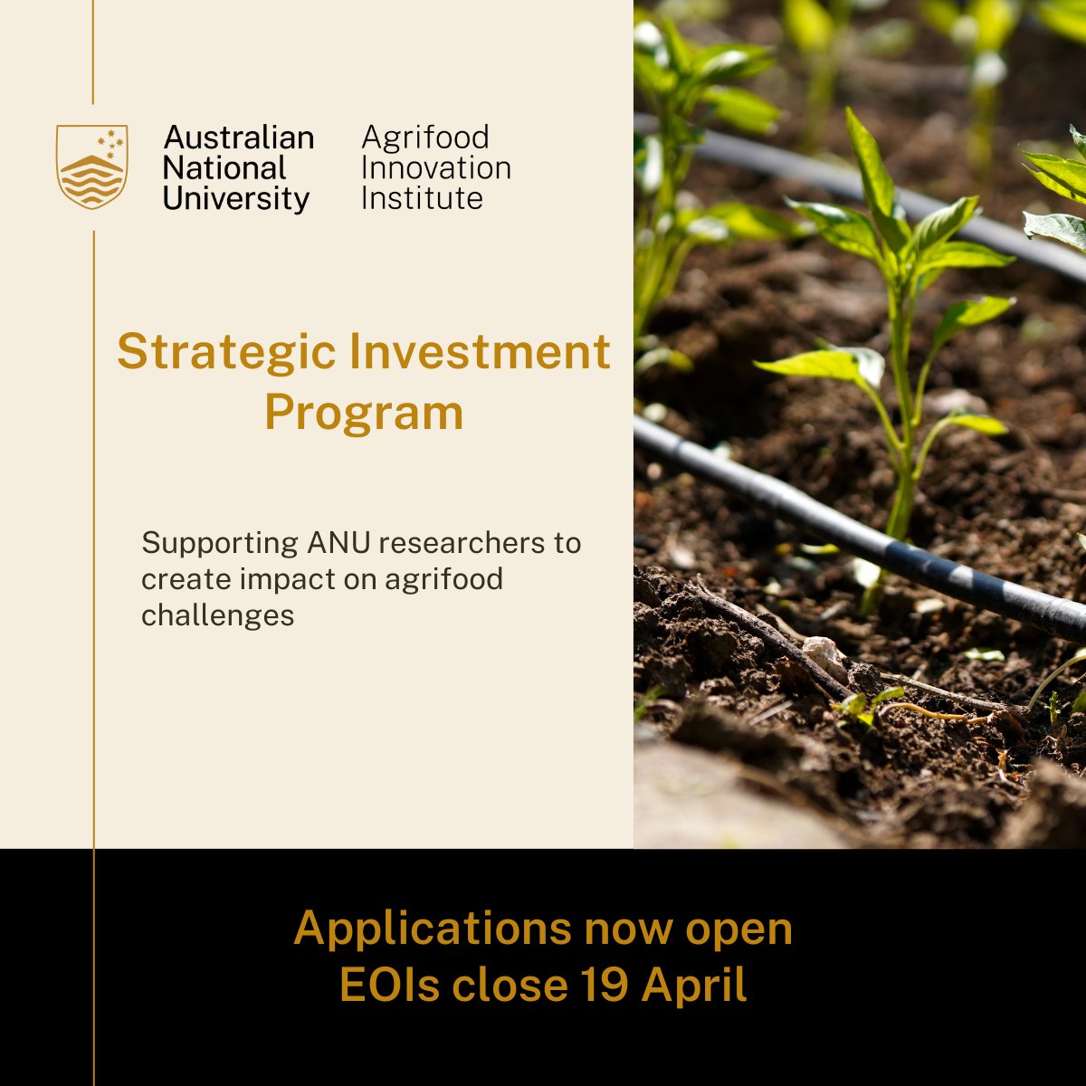 Our Strategic Investment Program round is open! If you are at @ourANU conducting research that could have real-world impact in the agrifood sector, you may be eligible for funding support. For further info: ceat.org.au/ceat-strategic…