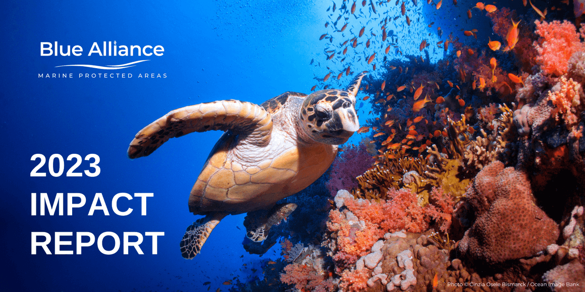 Our Blue Alliance MPA 2023 #ImpactReport is out! 📄🎉 Learn how we, along with our partners, manage 60 #MarineProtectedAreas, safeguarding coral reefs, protecting threatened species, and supporting coastal communities around the globe.➡️Start exploring: simplebooklet.com/bluealliancemp…