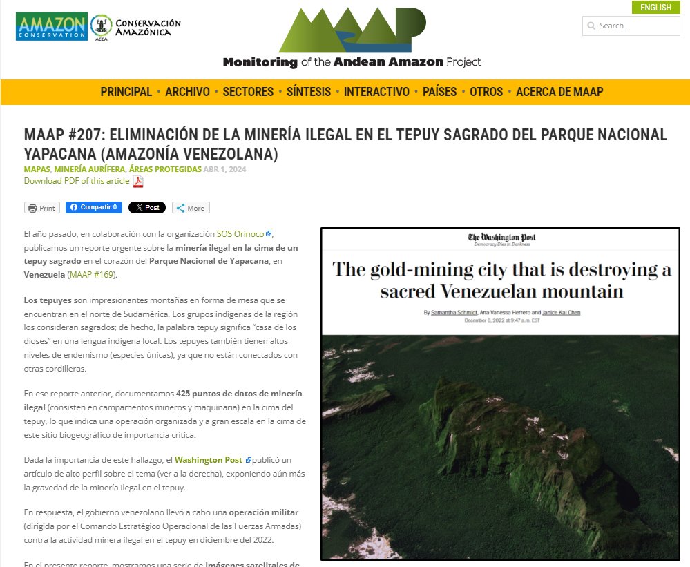 Spanish version of report on Venezuela crack down on illegal mining on sacred tepuy Lo bueno: Gobierno responde y elimina minería ilegal del tepui en Parque Nacional Yapacana Lo malo: Continúa la minería ilegal en zonas aledañas al Parque maaproject.org/2024/mineria-t… @SOSOrinoco