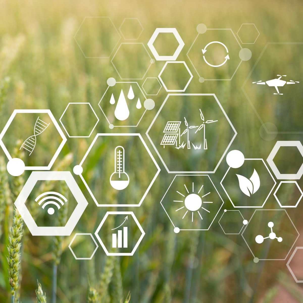 ☘ Appel à candidatures pour les Doctoriales franco-belges de l'AgriTech : cet événement permet à 8 doctorantes/doctorants ou jeunes chercheurses/chercheurs belges de participer à une semaine de formation autour de la recherche dans le domaine des AgriTech tinyurl.com/wcdvb68a