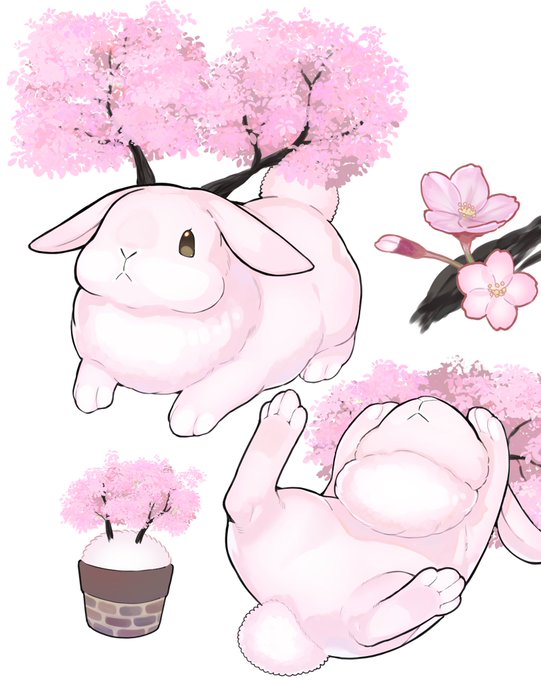 「flower pot pink flower」 illustration images(Latest)