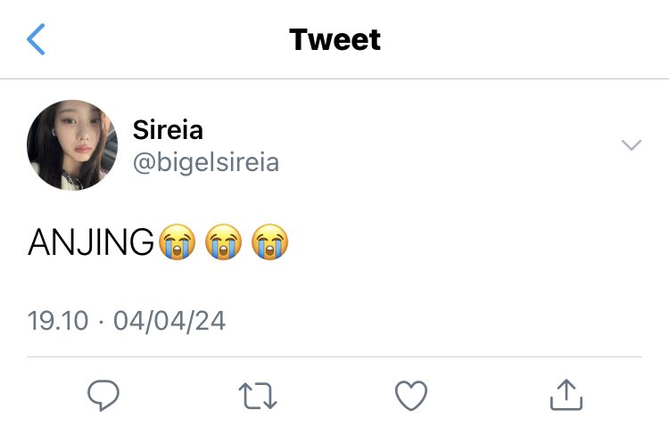 𝓐 ✦ tweet media