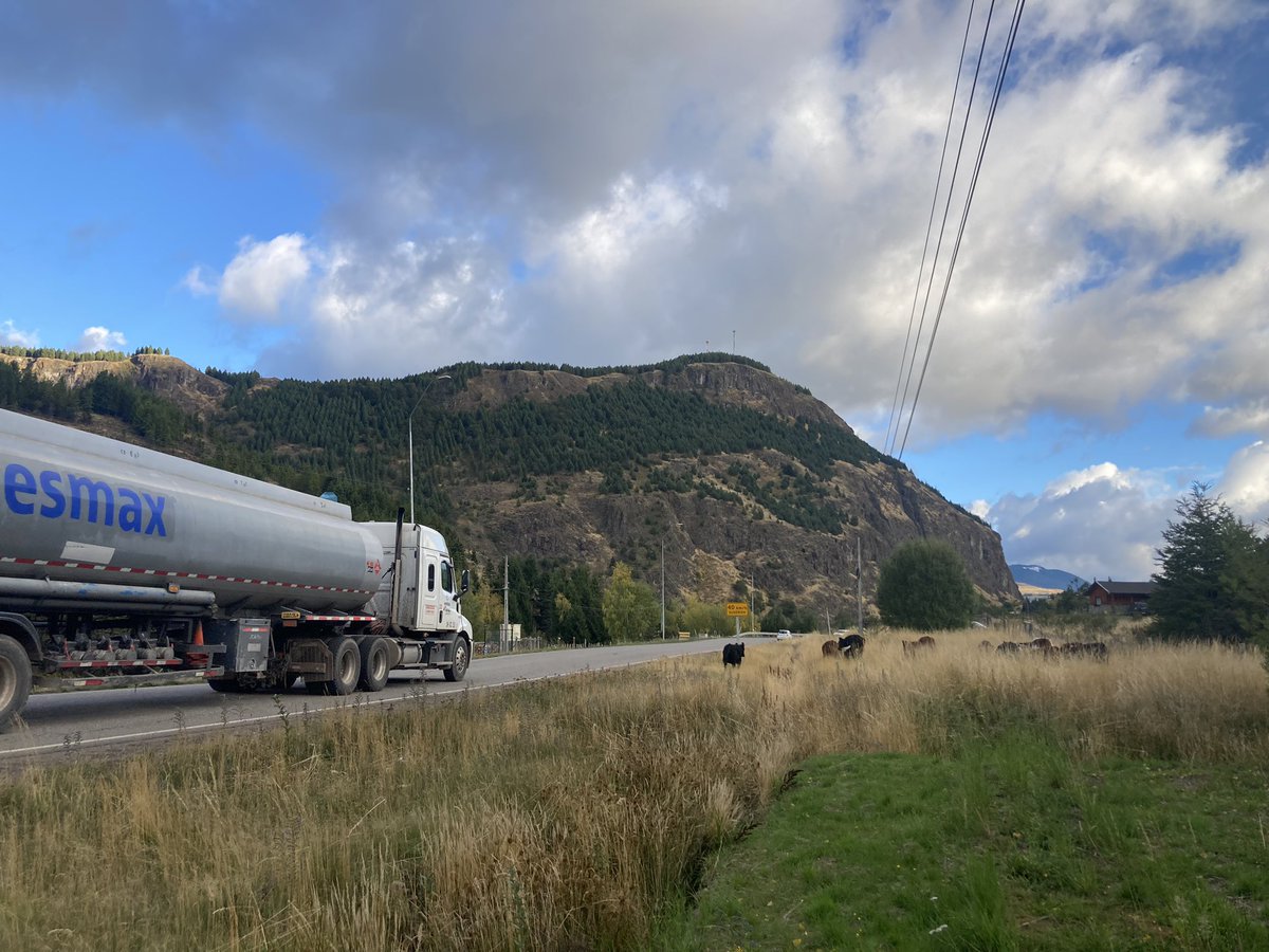 Atentos en Villa Jara, animales en la vía.

#coyhaique #ruta7 #carreteraaustral