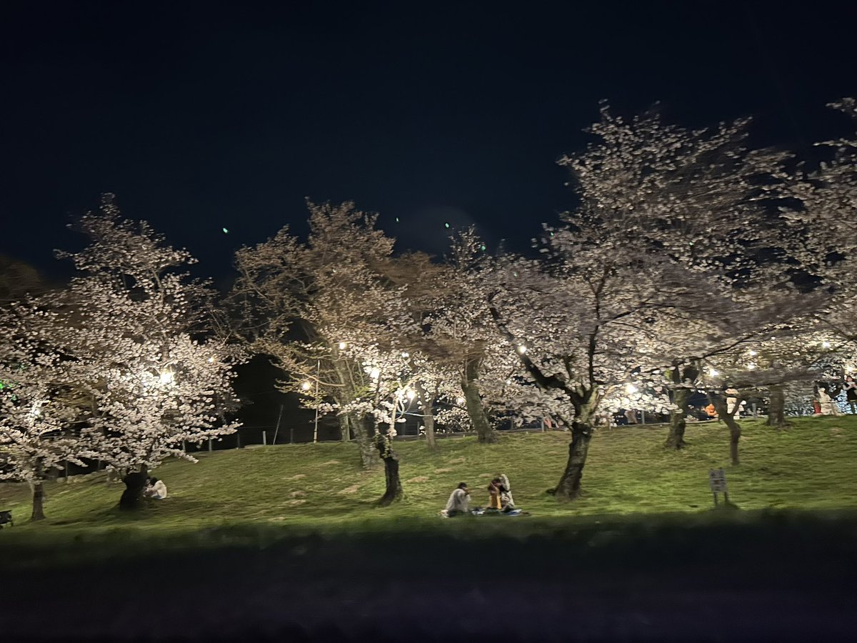 夜桜楽しんできました🌸 岡崎城もライトアップで綺麗😍