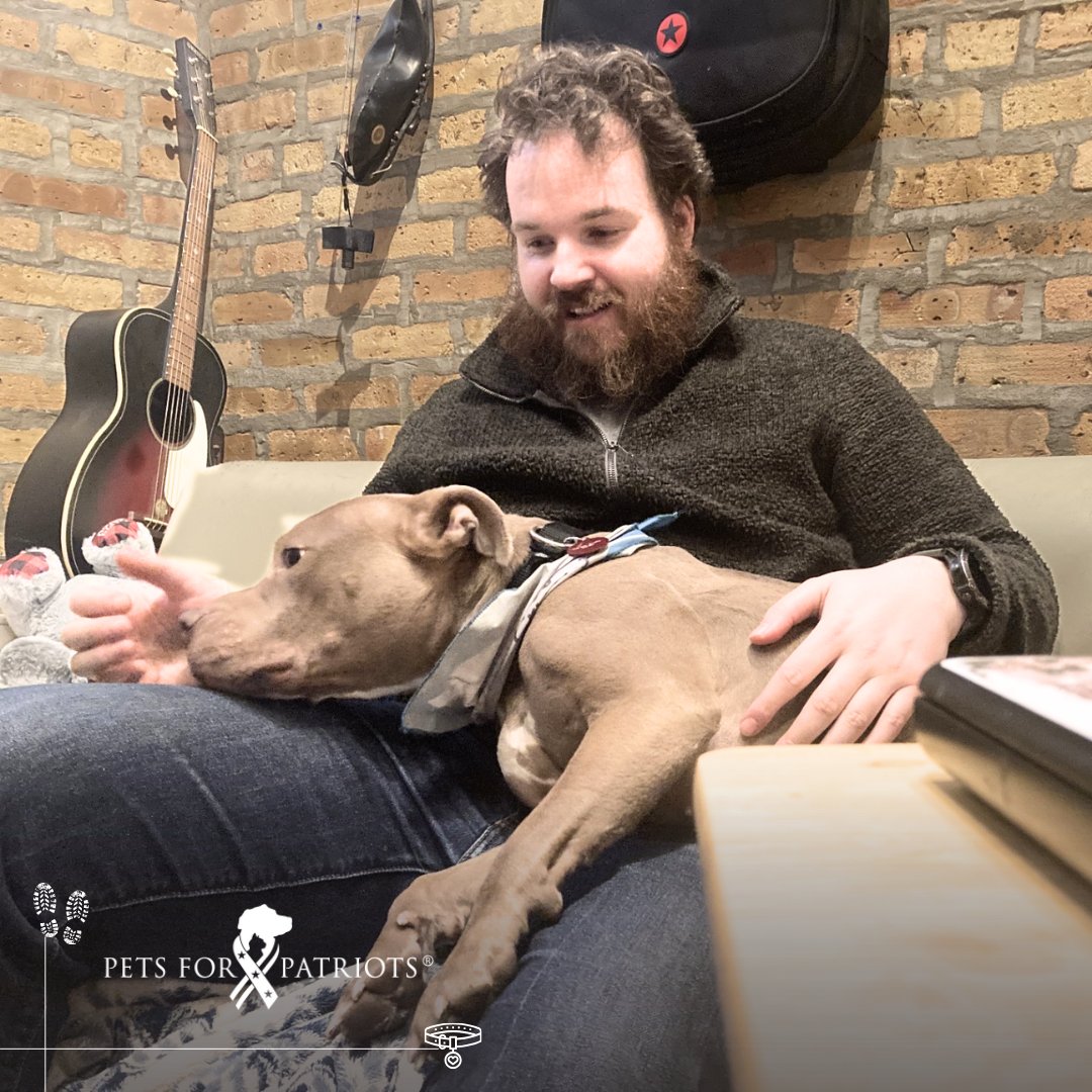 Sometimes you can just see the love. ❤️ Peter served in the @USNavy and now works to help other veterans through the creative arts. Recently he became our newest adopter through our partnership with @AntiCruelty, which waives adoption fees for veterans we serve. Olive is a