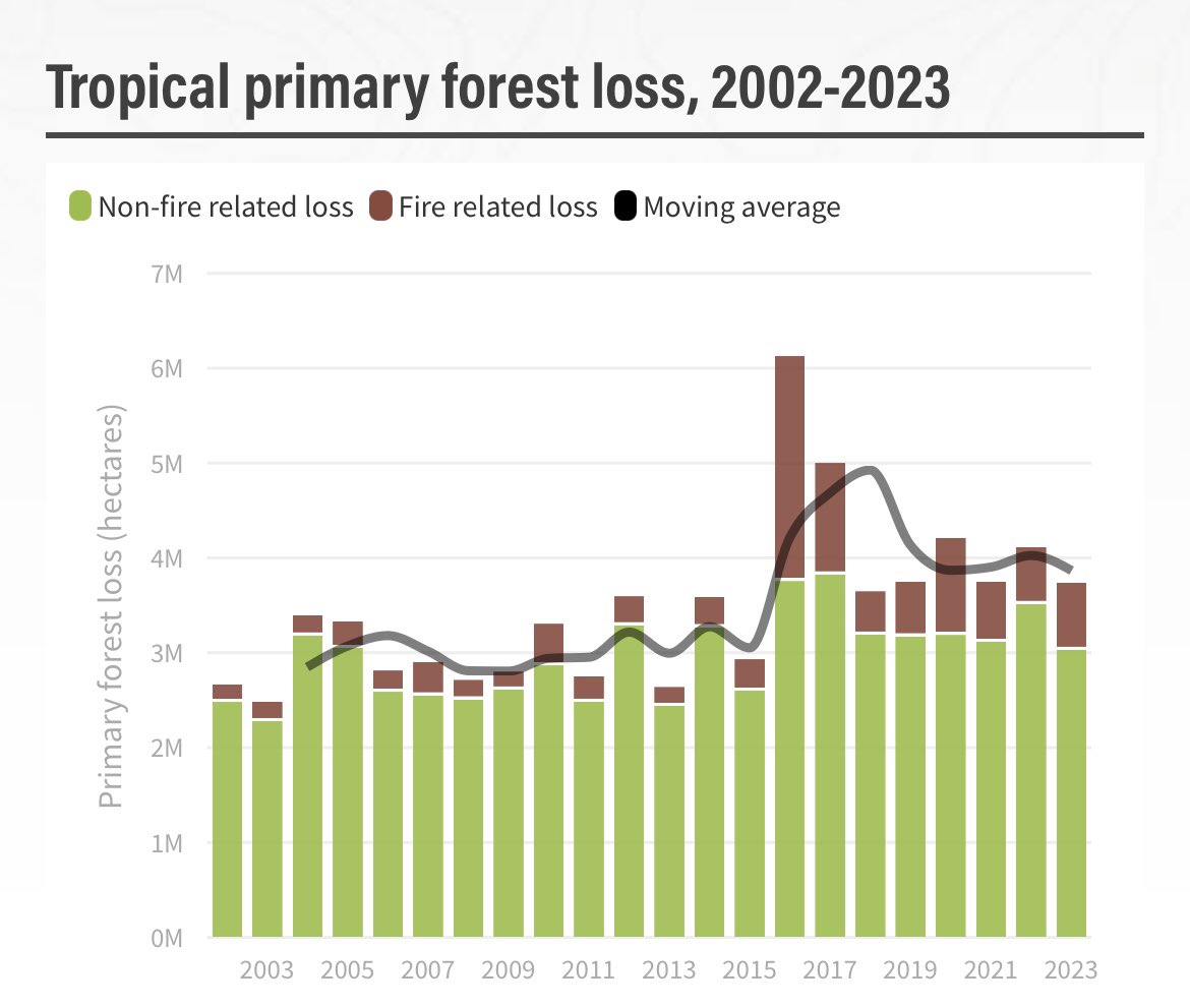 La deforestazione è un fenomeno complesso e conttaddittorio e quindi anche i dati lo sono. I numeri annuali di Global Forest Review dicono questo: nel 2023 è andata un po' meglio del 2022 (-9 per cento), ma siamo a livelli quasi identici a 2019 e 2021. Alcuni paesi vanno…