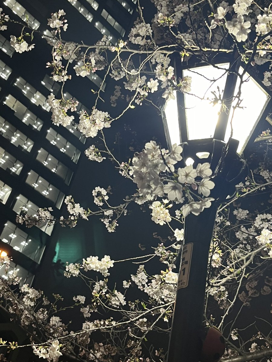 chi3818's tweet photo. お正月ぶりに東京で娘と再会
めっちゃ食べて喋った😊

社会人2年目
素敵な上司に恵まれて
更に成長する兆ししかない笑笑

またゆっくり帰っておいで https://t.co/rWLlqJCzM1