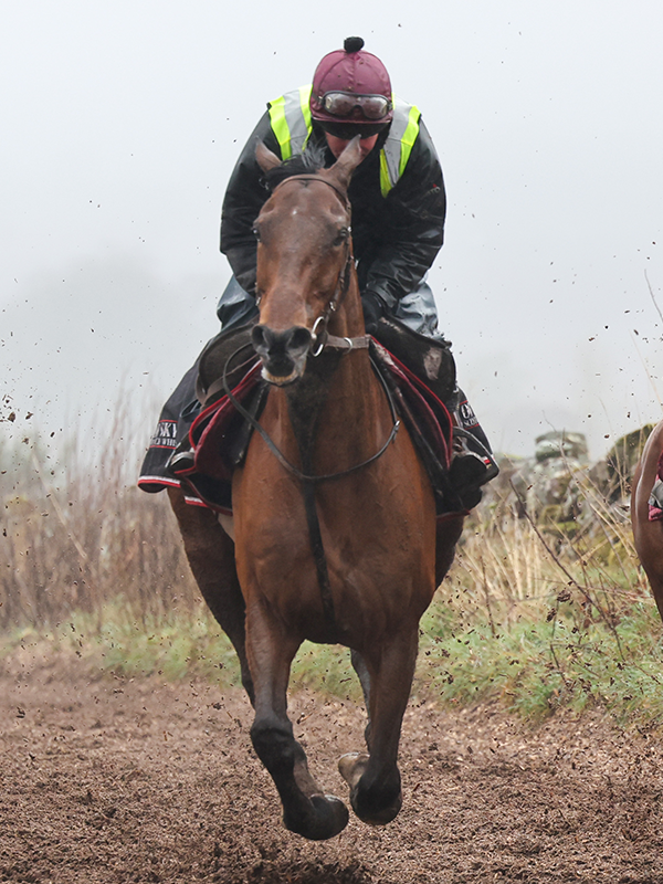 🥇 2021 Sefton Novices' Hurdle 
🥇 2022 Mildmay Novices' Chase
🥈 2023 Aintree Bowl

It's safe to say Ahoy Senor loves Aintree's Grand National meeting 😍