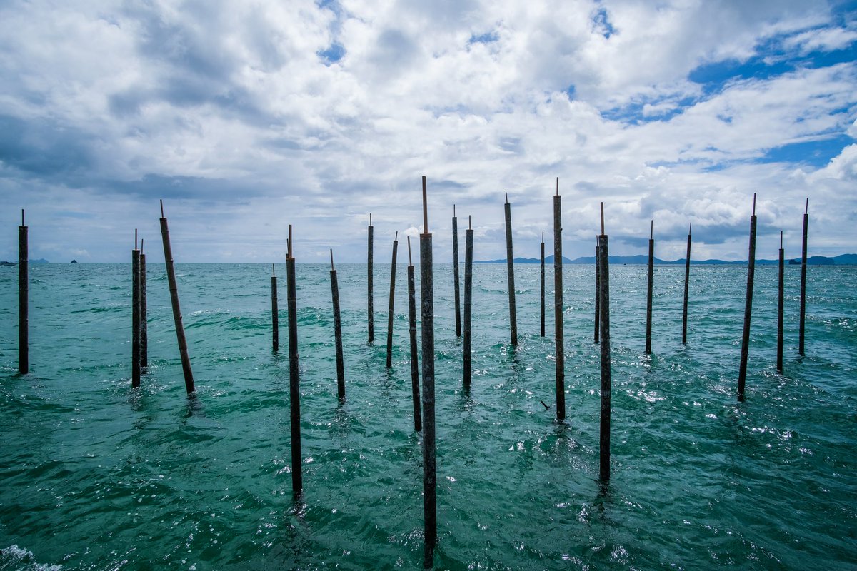 🌊 La platja del Coco serà la seu principal de la biennal @ManifestaDotOrg a #Badalona

➡️ A la platja s'hi instal·larà entre el 8 de setembre i el 24 de novembre l'obra 'Rumours from the sea' de @felixblume, una obra que musicalitza la immensitat de la nostra costa

#Manifesta15