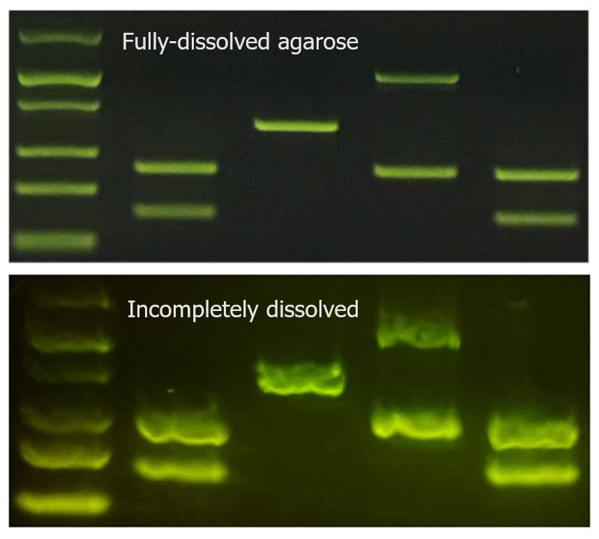 Troubleshooting gel electrophoresis? Here are some common problems we often get asked about, and how to fix them: minipcr.com/gel-electropho…