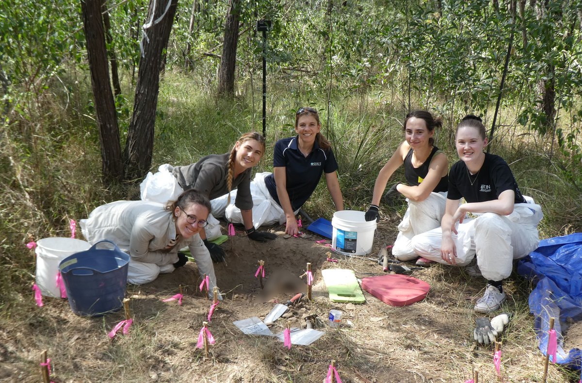 Towards the end of two weeks of fieldwork with a great group of students from @UOW and @PACEA_Bordeaux 🩻 Tired but satisfied.