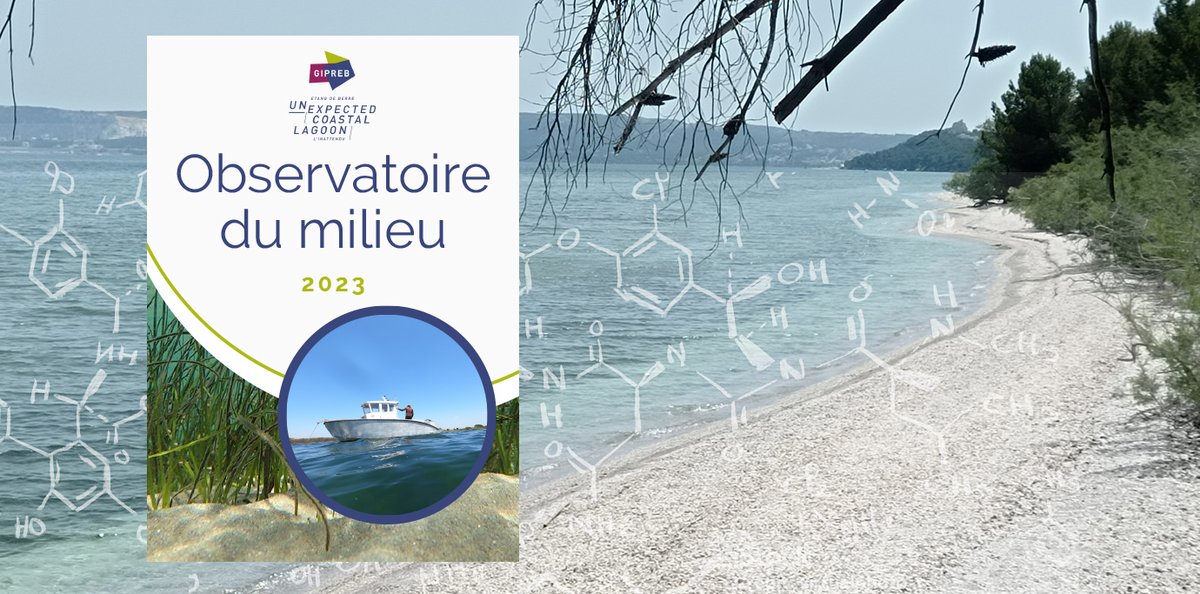 etangdeberre's tweet photo. Rapport 2023 de l'observatoire du milieu: plusieurs conséquences favorables permettent à l’#ecosystème de l'étang de Berre de s’approcher d’un fonctionnement équilibré 👉 https://t.co/s2pGJYfRG6
#lagune #biodiversite #environnement https://t.co/egcrHmCdN7