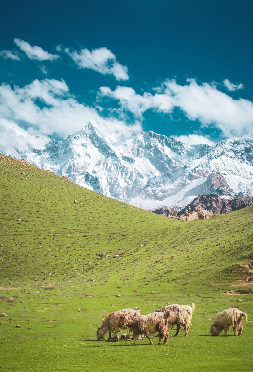 KhowariChetrar's tweet photo. Qaqlasht, Early April 2024
Pictures by Qaim Ali
#qalasht #upperchitral #booni #tourism #nature #chitral https://t.co/CFBNUnrCPd