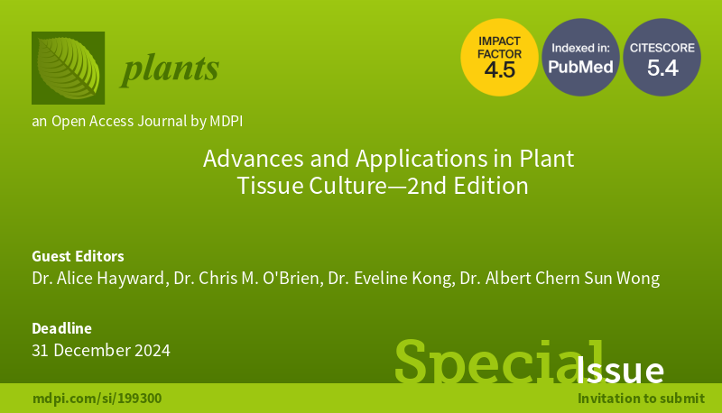 📢 #plants_mdpi Special Issue 'Advances and Applications in Plant Tissue Culture—2nd Edition' is now open for submissions! 👉 You can find more information at: mdpi.com/journal/plants… #callforpapers #callforsubmissions #openaccess #transcriptomics #cryopreservation