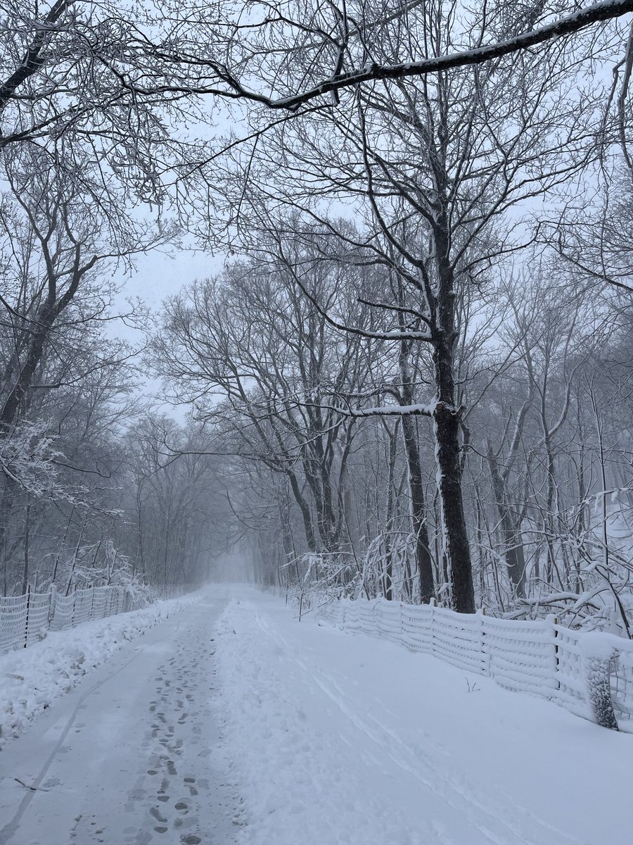 There is always one last storm in April… makes for a quiet commute…