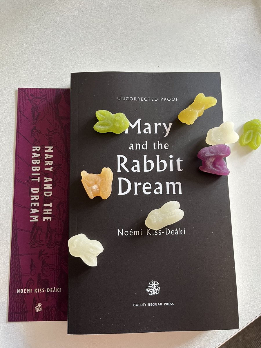 Absolute dreamboats @GalleyBeggars on @WritersCentre visit bearing the incredible gift of Mary and the Rabbit Dream by Noémi Kiss-Deáki which I have wanted to read since clapping eyes on this extract galleybeggar.co.uk/extract-mary-a… some months ago