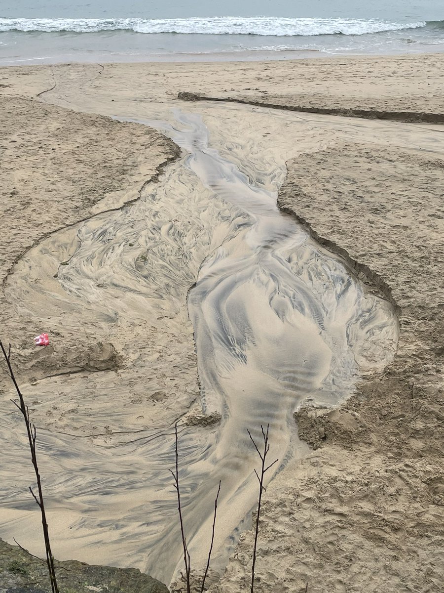 Nature 🙌- I have no words to describe the ingenious design of this planet!