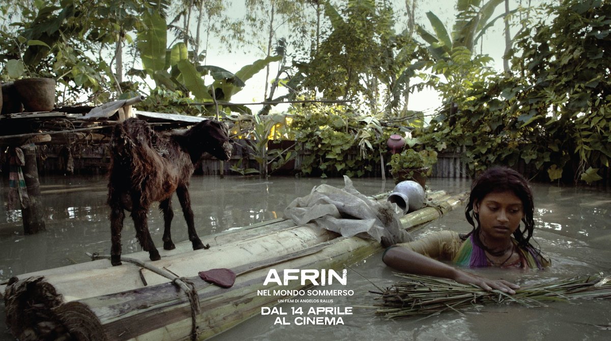 The Piranesi Experience tweet media