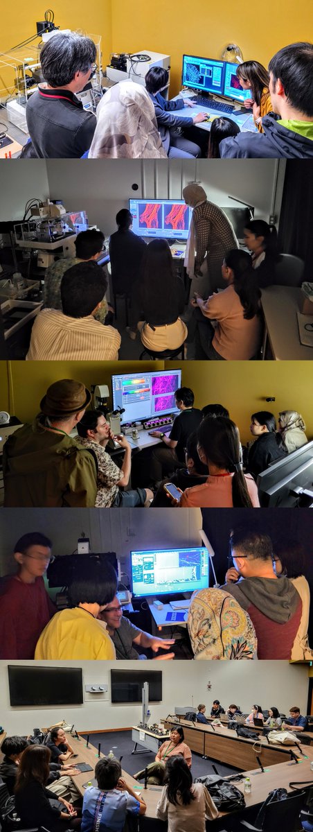 Today the participants at the Okinawa Microscopy Workshop got to see multiple super-resolution imaging modalities in action, and have fruitful discussions with the teaching team. Many thanks to the application scientists from @zeiss_micro and @NikonInst for helping out. #OKAscope