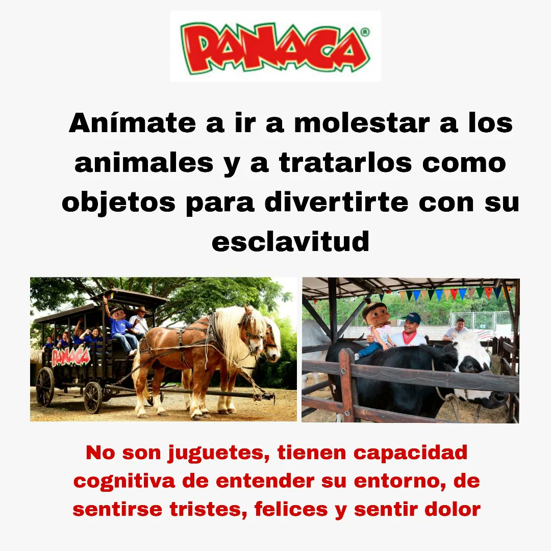 @Panaca_viajero está en Bogotá y es un lugar donde enseña a divertirse con los esclavos y a cosificarlos, los animales están en encierros pequeños y desesperados por recibir la comida que venden al público para que les den de comer <a href="/AnimalesBOG/">Protección Animal Bogotá</a> y <a href="/Bogota/">Alcaldía de Bogotá</a> no más permisos xa abusar