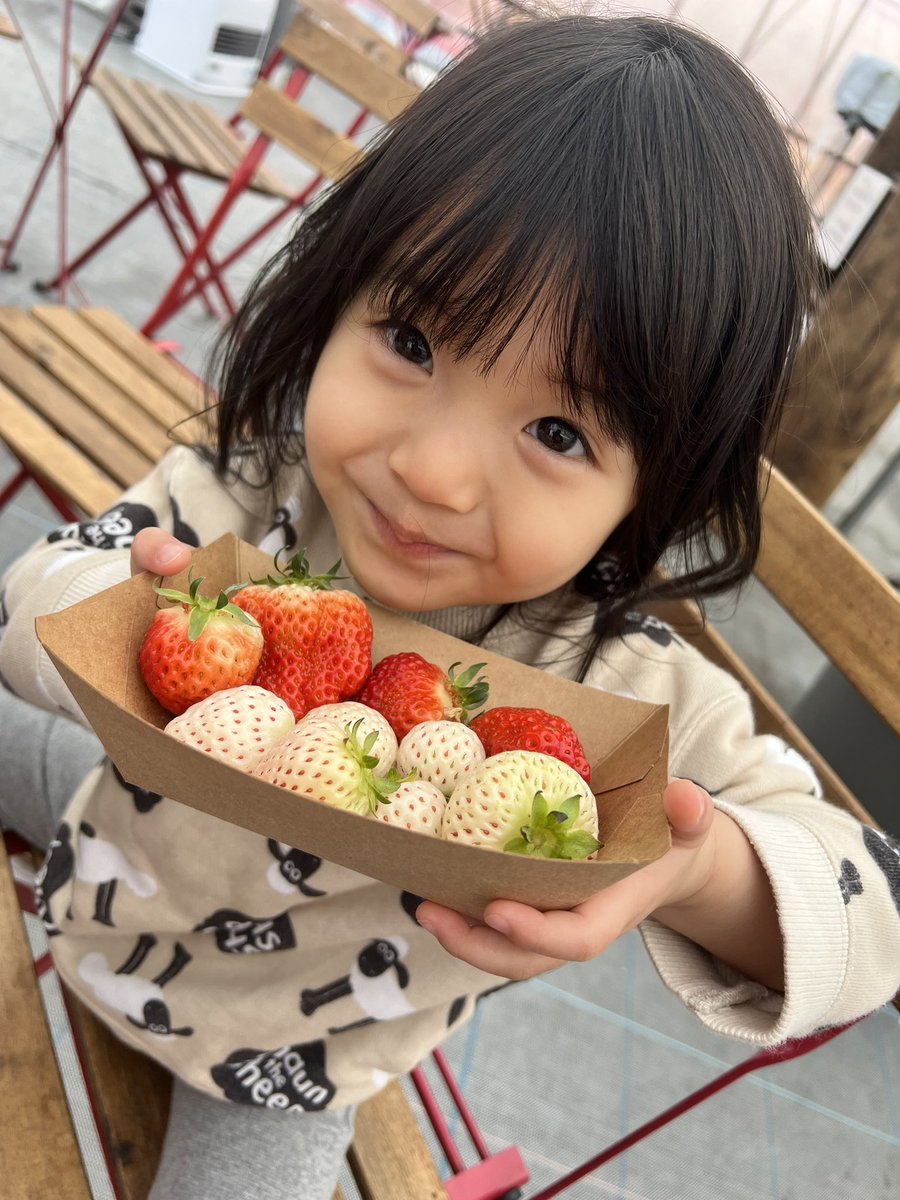 保育園お迎え行って

白いイチゴが、食べたくて滋賀県に #イチゴ狩り に行って来ました🍓

天ちゃんイチゴいっぱい食べました😍

天ちゃんTikTokもお願いします🙇‍♂️
tiktok.com/@tentenkororin

#キッズモデル　#おむつモデル　#子役　#子育て　#育児　#2歳9ヶ月　#2Y9M   #baby  #親バカ  #天ちゃん